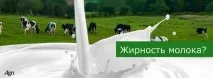 Годування корів гідропонікою корму