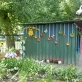 Червоногруді снігурі деталі