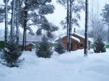 Крупномірні дерева, продаж крупномірів у Санкт-Петербурзі, розплідник Вітапарк крупномірні