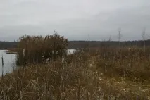 бариський