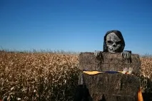 місто