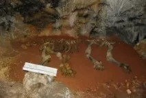 Криму