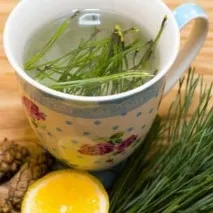 Лікування розсіяного склерозу народними засобами народними