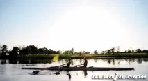 лімерік