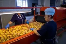 Лінія з виробництва картопляних чіпсів лінія