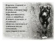 Life among stars червоний