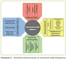 Мікотоксини у молочних корів загроза коровам, фермерам та споживачам! мікотоксини