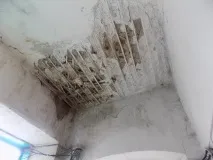 будинок
