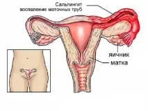 може
