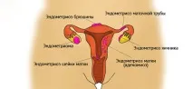 клімаксі