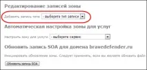 Налаштування домену для щоденника Як прикріпити свій домен до щоденника, Brave Defender налаштування
