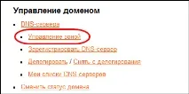 Налаштування домену для щоденника Як прикріпити свій домен до щоденника, Brave Defender прикріпити