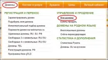 Налаштування домену для щоденника Як прикріпити свій домен до щоденника, Brave Defender щоденника