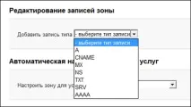 Налаштування домену для щоденника Як прикріпити свій домен до щоденника, Brave Defender домену