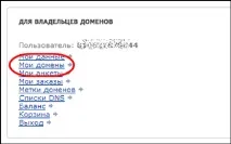 Налаштування домену для щоденника Як прикріпити свій домен до щоденника, Brave Defender налаштування