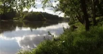 На покращення екології Луганської, Харківської та Донецької областей витратять 180 мільйонів - Новини харківської