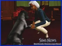 sims