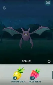 Нові ягоди в Pokemon Go кому яку і коли давати відео pokemon
