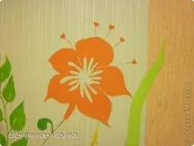 оформлення