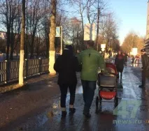 статьи