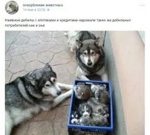 VKontakte