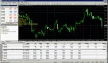Відгук на курс Владислава Гілки «Авто Forex Трейдер» частина 2, Сфера Форекс авто