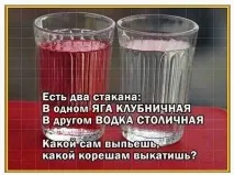 Від добра добра не шукають шукають