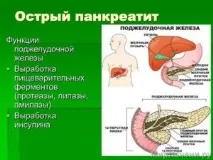 дорослих