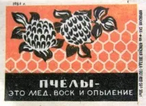 Бджільництво як бізнес або джерело додаткового доходу. бізнес