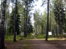 Оздоровчий дитячий табір Перемога для дітей 6-15 років, р табір