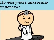 По чому вчити анатомію людини, Хороші поради анатомію