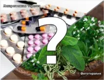 Плюси та мінуси фітотерапії, БАДи, вітаміни, фітопрепарати та багато іншого плюси