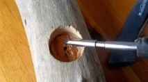 Вироби з дерева Driftwood для дому driftwood