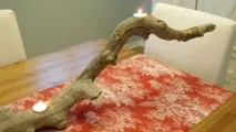 Вироби з дерева Driftwood для дому дерева