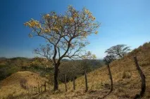 Зрозуміти гістограму - Мультимедійна школафотографії - авторська фотошкола В’ячеслава Слободчука гістограму