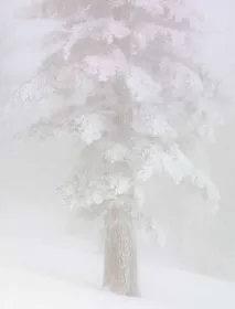 Зрозуміти гістограму - Мультимедійна школафотографії - авторська фотошкола В’ячеслава Слободчука гістограму