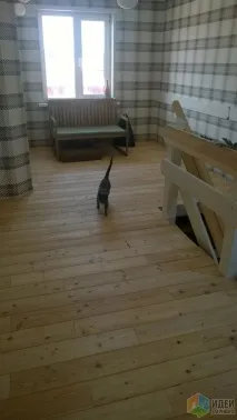 Підлога з натурального дерева дерева