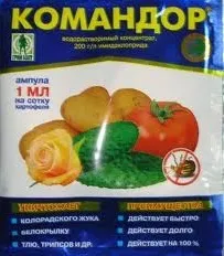 будинок
