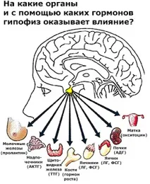 наслідки