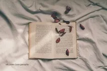 Притча про дружбу притча