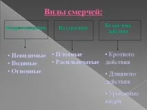Презентація на тему - Урагани, бурі, смерчі - з ОБЖ для 6 класу смерчі