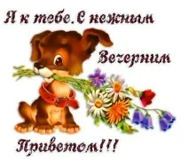 Прикольні листівки Доброго вечора – Привіт Піпл! прикольні