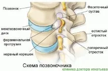 междупрешленния