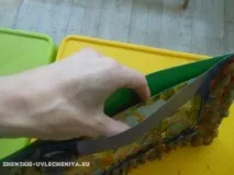 Рамки з природного матеріалу для фотографій три майстер-класи з фото майстер-класи