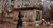 Розіграв кота розіграв