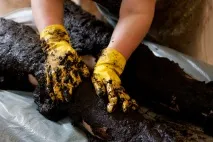 Реабілітаційний центрЯункемері, Юрмала ціни на 2019 рік юрмала