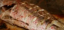 Риба в духовці оригінальні рецепти рецепти