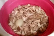 маслюки