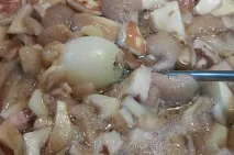 маслюки