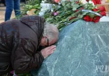 Різдвяна реклама з невдалим котом набирає популярності в мережі - 17 листопада 2015 різдвяна